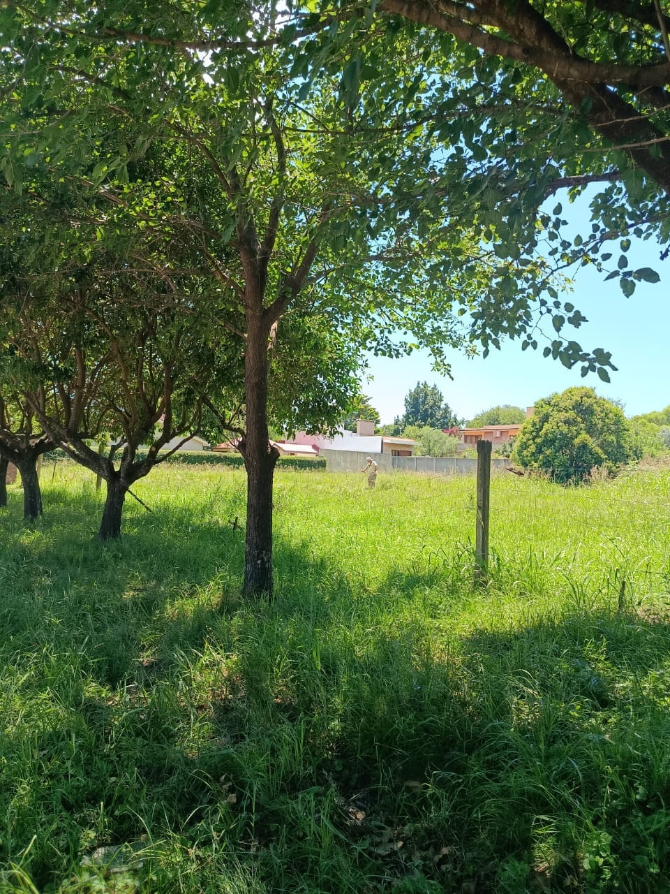 WhatsApp Image 2026-02-01 at 11.21.07 (2)