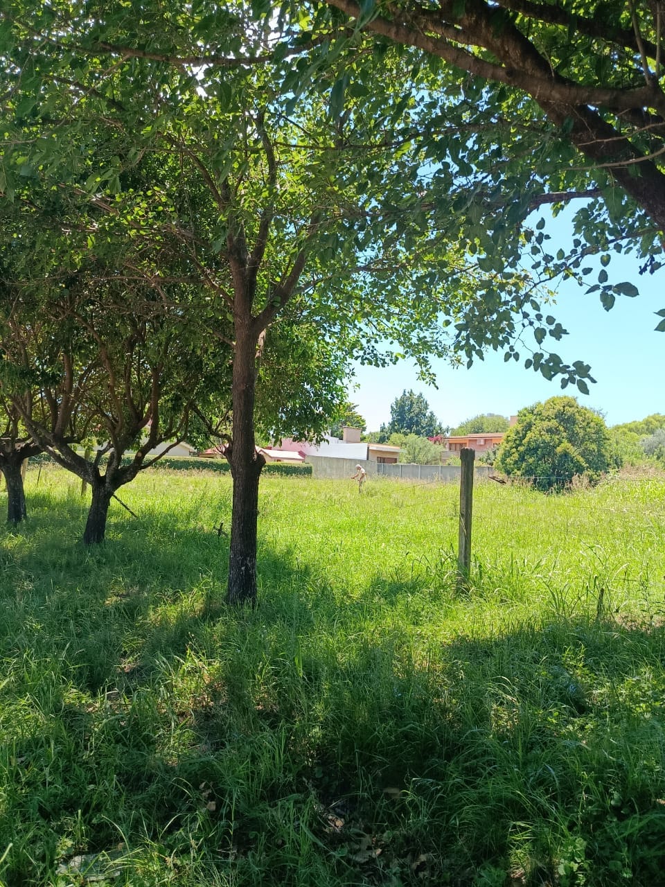 WhatsApp Image 2026-02-01 at 11.21.08